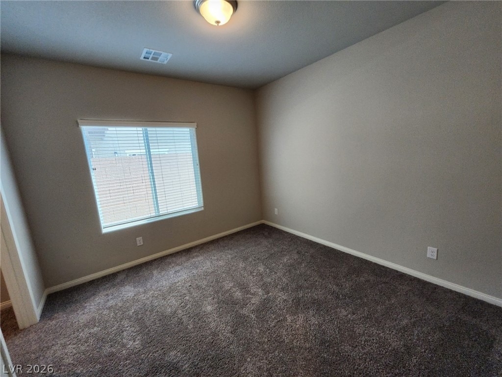 4521 Pointleaf Street - Photo 16
