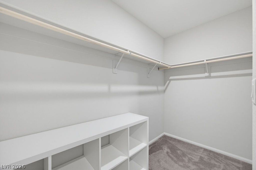 10661 Sariah Skye Avenue - Photo 30