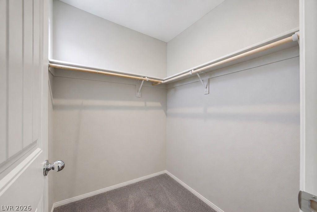 10661 Sariah Skye Avenue - Photo 39