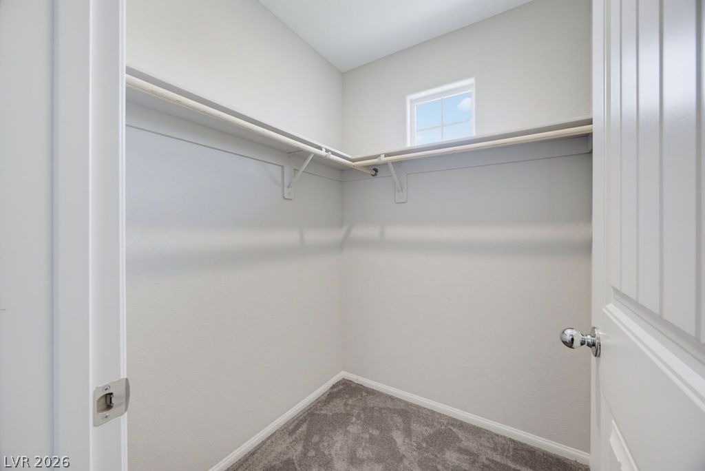 10661 Sariah Skye Avenue - Photo 42