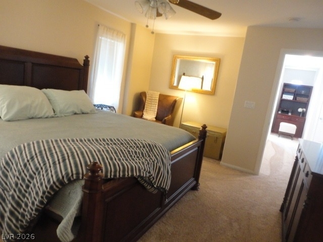 9078 Barren Vista Court - Photo 21