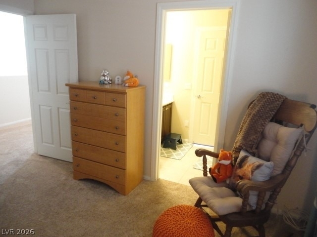 9078 Barren Vista Court - Photo 19