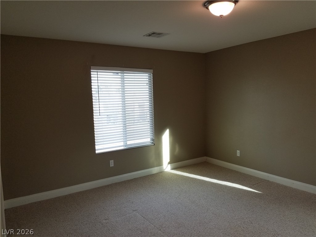 3412 Lacebark Pine Street - Photo 21