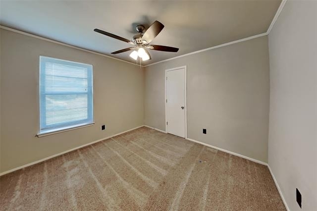 6917 Lincolnshire Lane - Photo 11