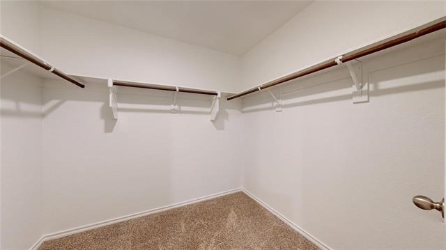 717 Cottonwood Way - Photo 14