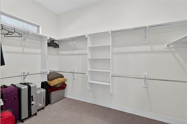 12820 Cooper River Trail - Photo 18