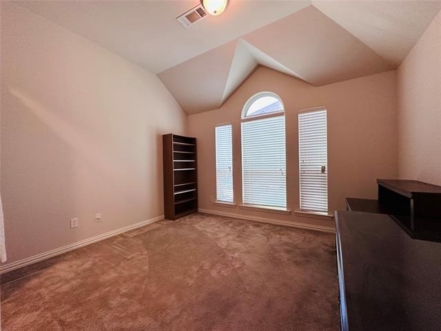 3516 Rim Fire Drive - Photo 12