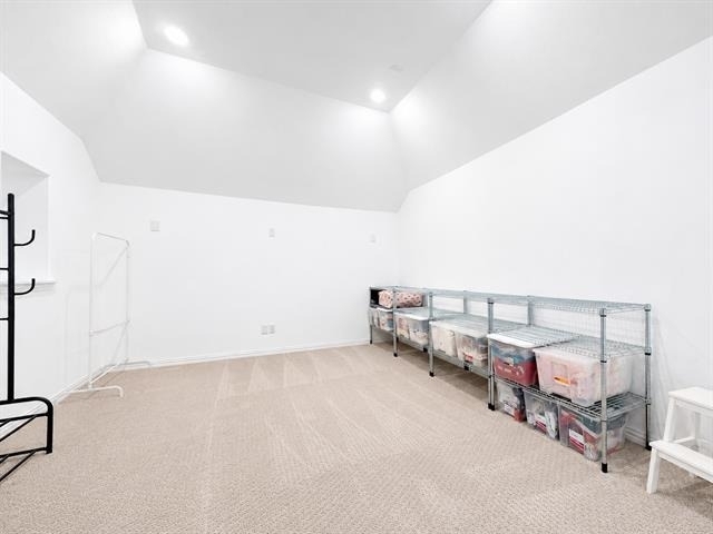 17293 Texas Pistache Drive - Photo 19