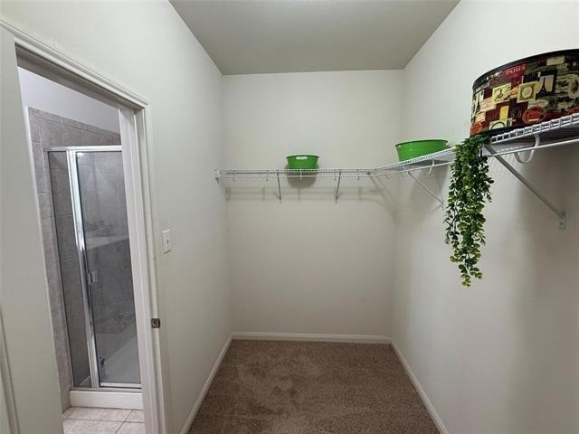 6209 Obsidian Creek Drive - Photo 16