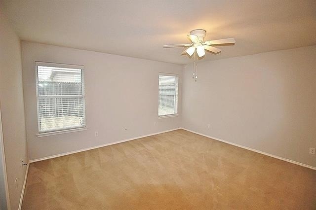 217 Silver Spur Drive - Photo 6