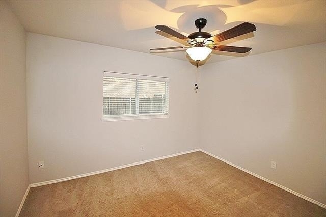 217 Silver Spur Drive - Photo 13