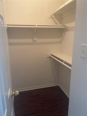 4602 Alamosa Street - Photo 18