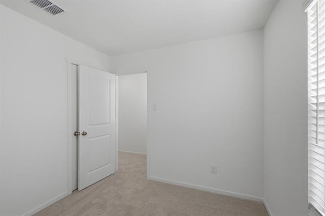 6307 Sandpiper Lane - Photo 23