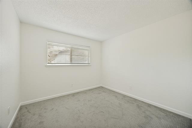433 Sandy Trail - Photo 11
