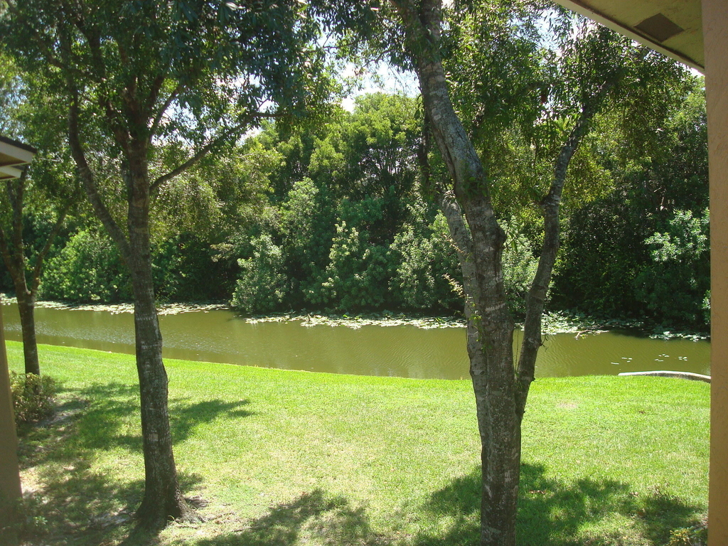1141 Lake Victoria Drive - Photo 4