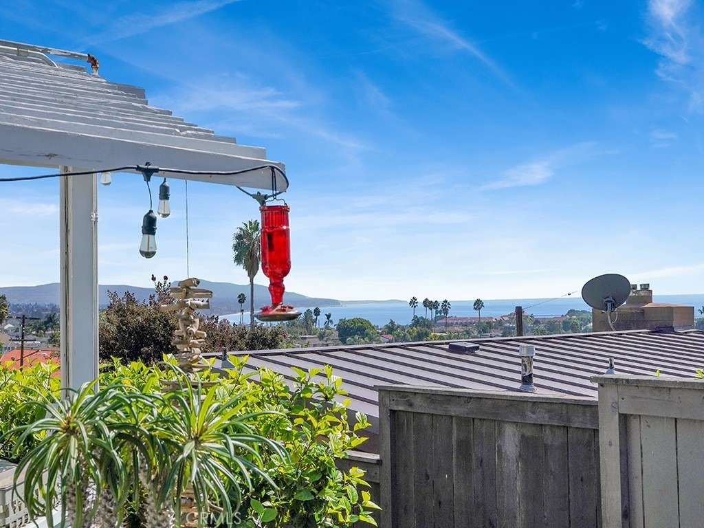 33841 Golden Lantern Street - Photo 12
