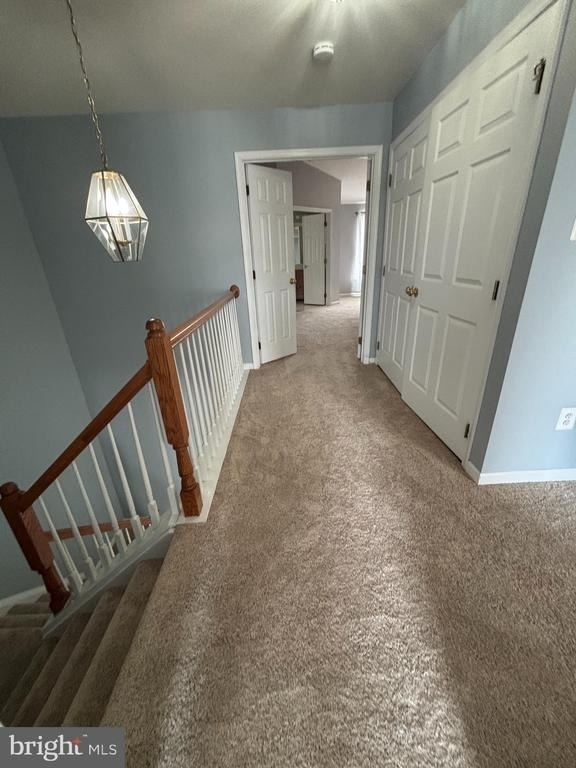 42902 Overly Square - Photo 19