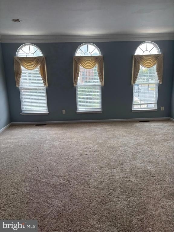 42902 Overly Square - Photo 2