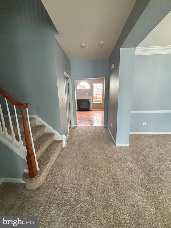 42902 Overly Square - Photo 6
