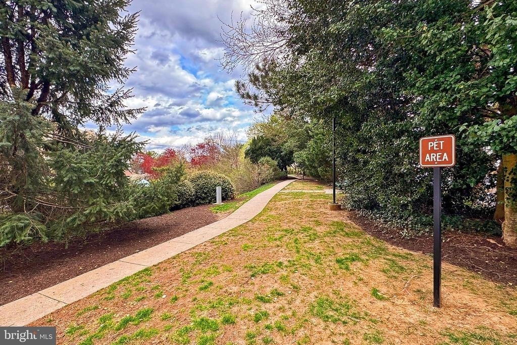 307 Yoakum Parkway - Photo 18