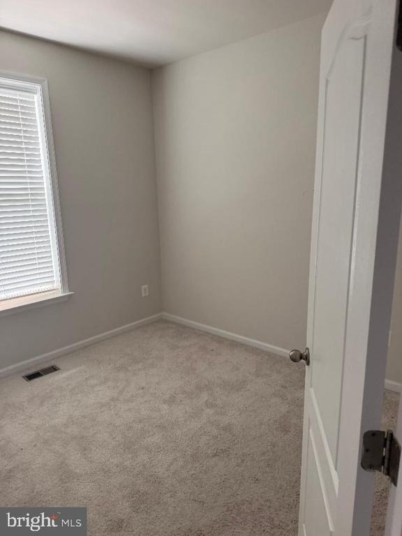1011 Flester Lane - Photo 8