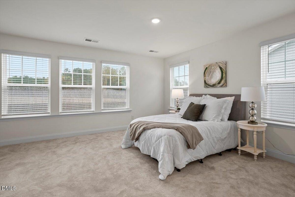 74 Amaryllis Lane - Photo 21