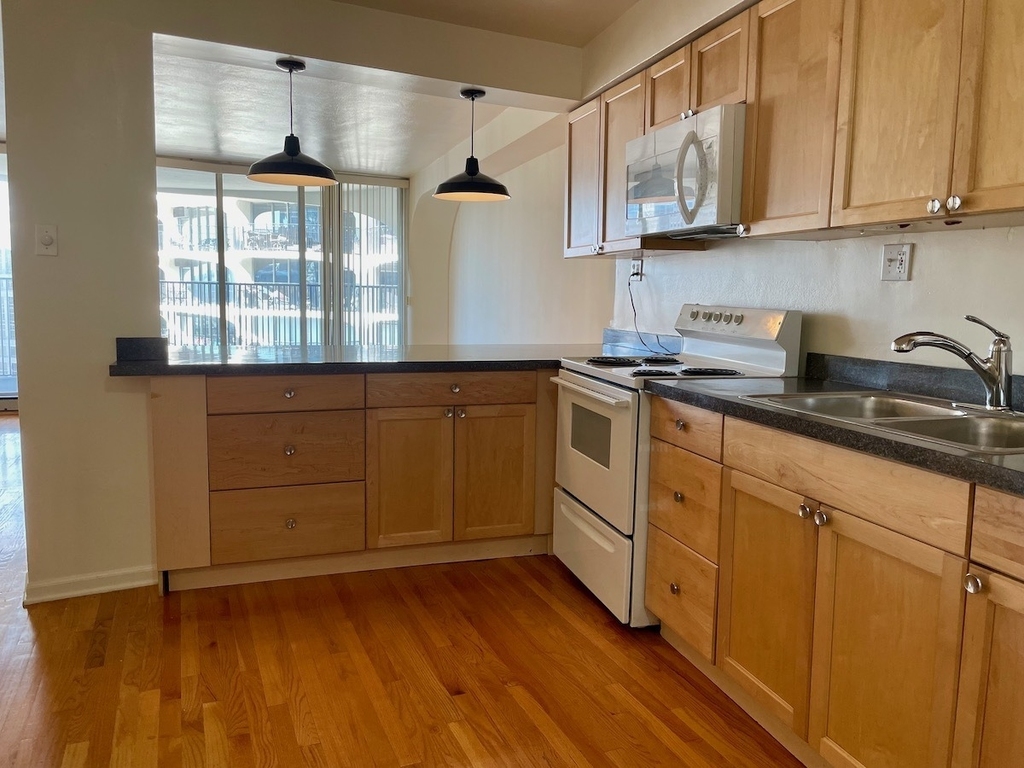 300 N State Street - Photo 1