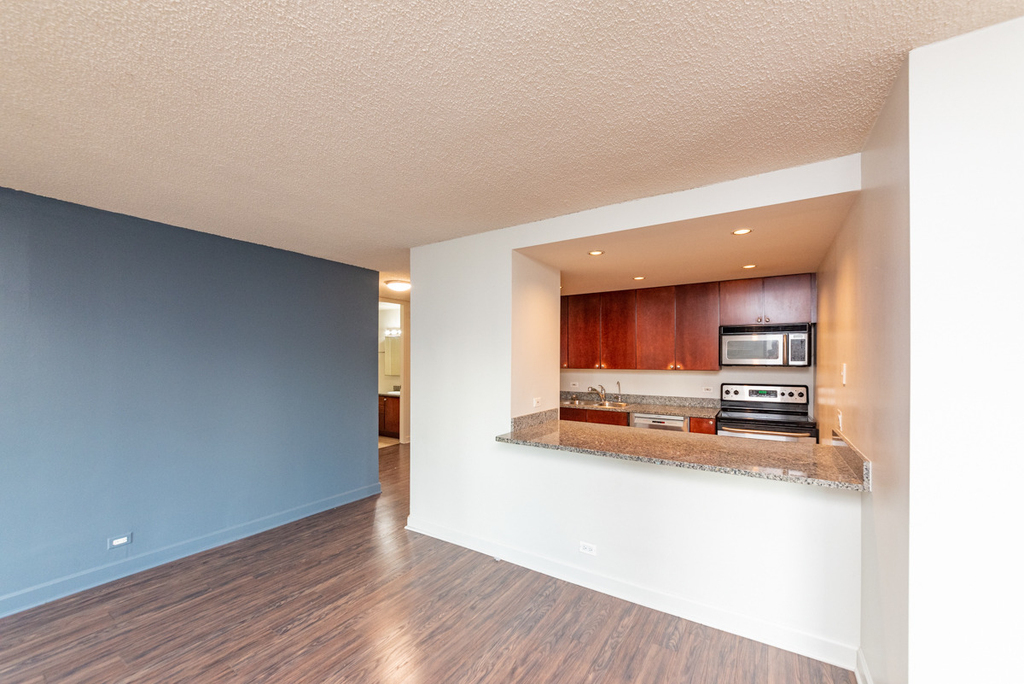 30 E Huron Street - Photo 4