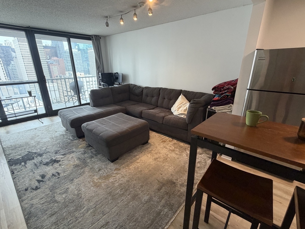 10 E Ontario Street - Photo 6