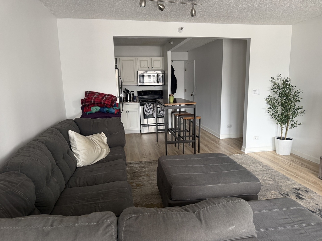 10 E Ontario Street - Photo 1
