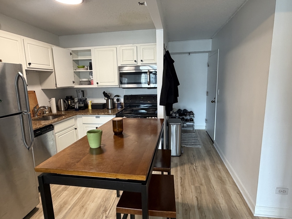 10 E Ontario Street - Photo 4