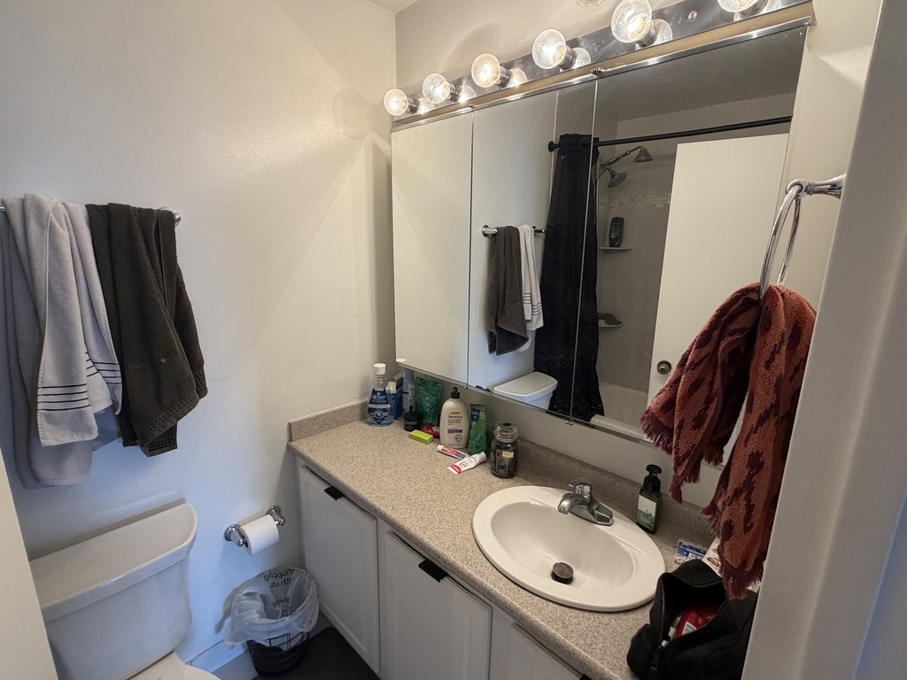 10 E Ontario Street - Photo 8