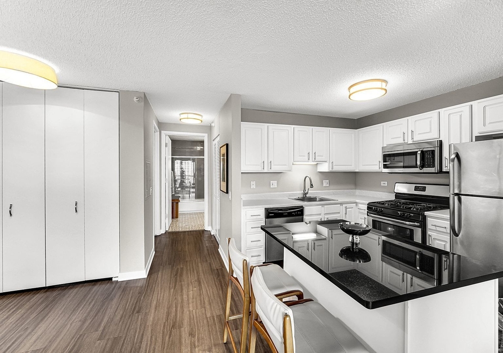 545 N Dearborn Street - Photo 3