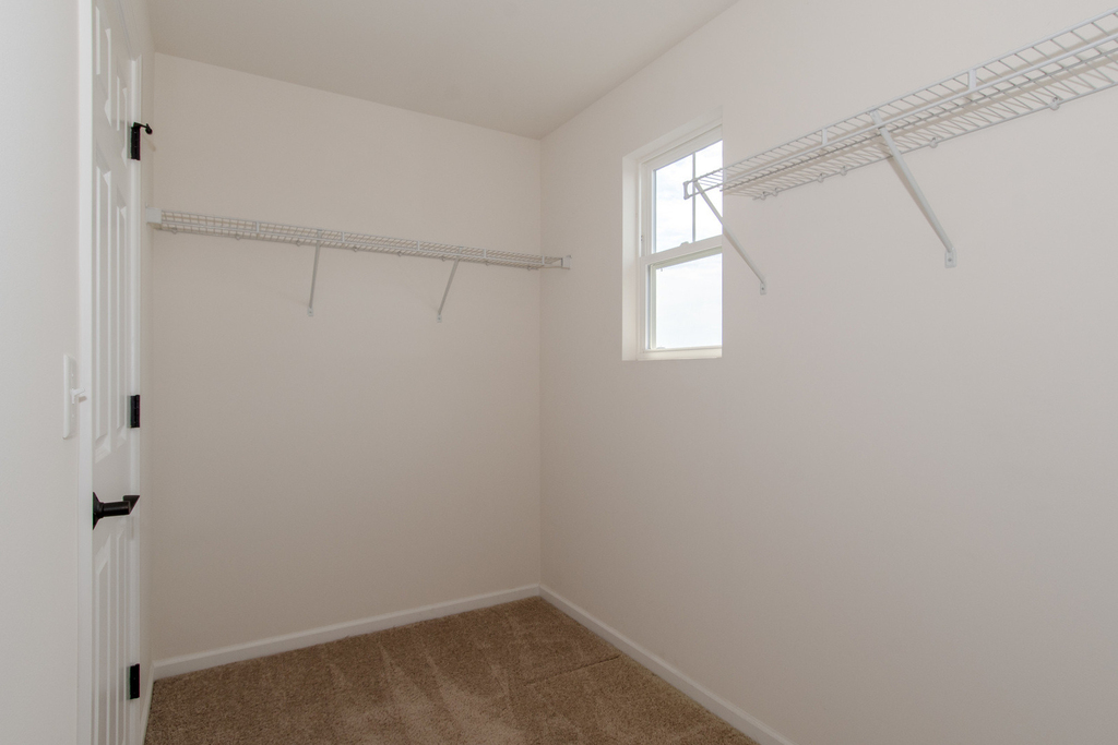 26107 S White Oak Trail - Photo 22