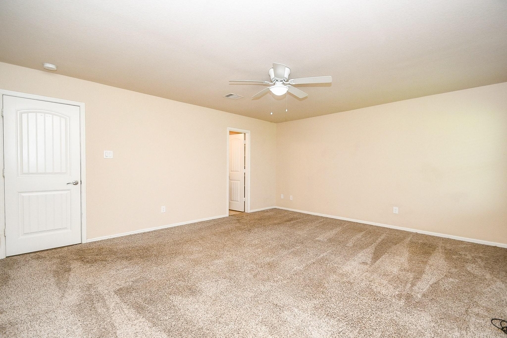 29251 Jacobs River Drive - Photo 17