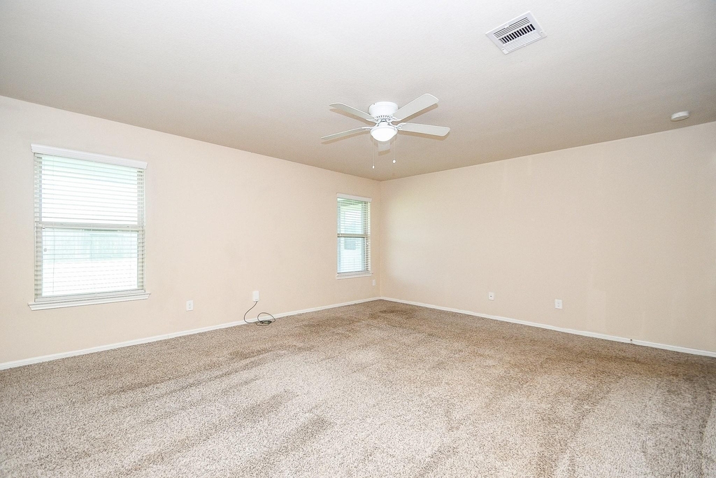 29251 Jacobs River Drive - Photo 16