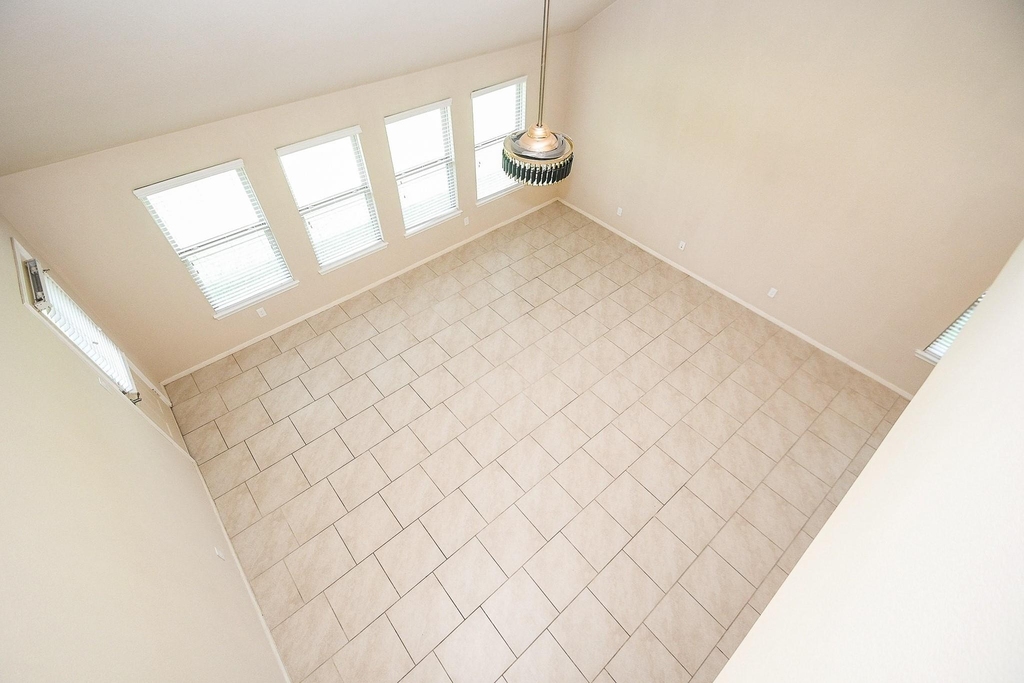 29251 Jacobs River Drive - Photo 13