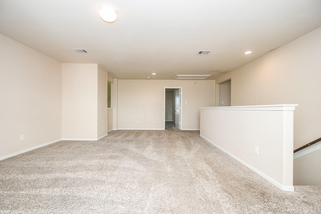 29251 Jacobs River Drive - Photo 26
