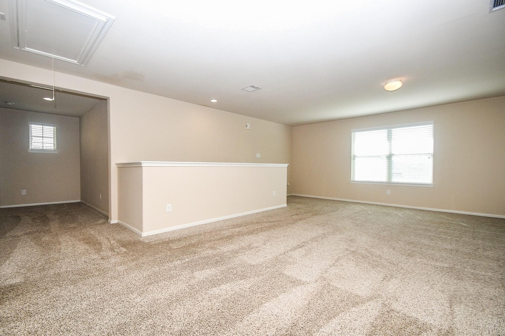 29251 Jacobs River Drive - Photo 25
