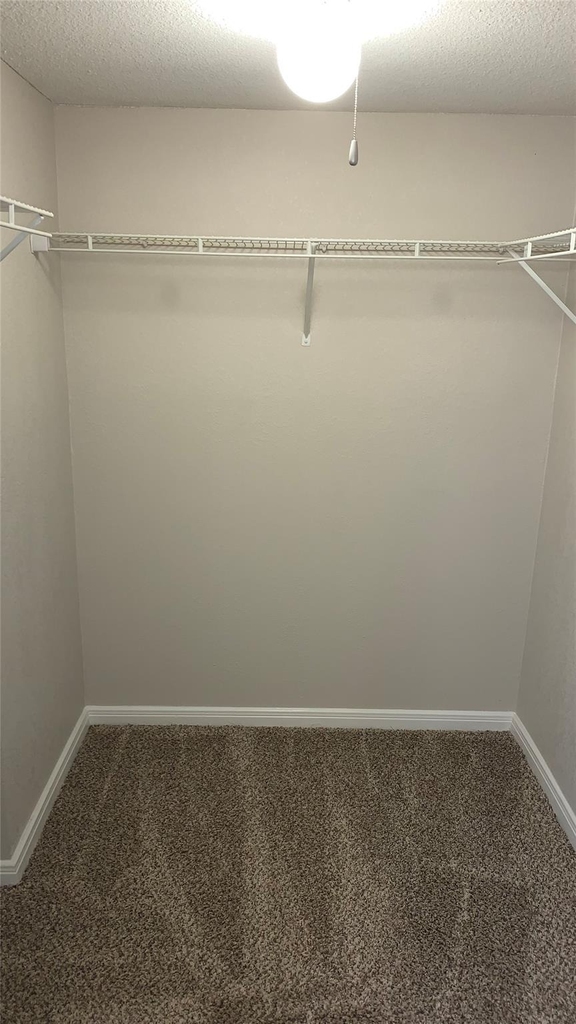 7315 Brompton Street - Photo 10