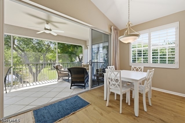 7122 Blue Juniper Court - Photo 12