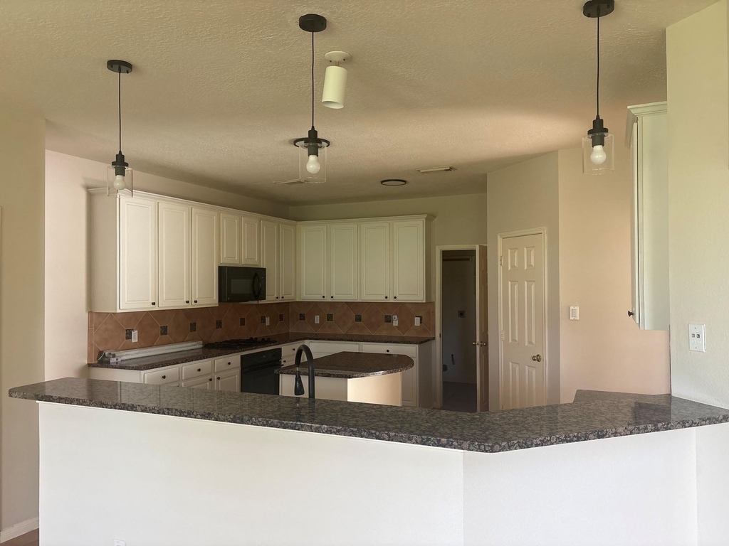 11607 Bay Ledge Drive - Photo 4