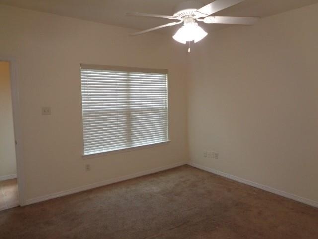 10223 Checkerberry Park Lane - Photo 8