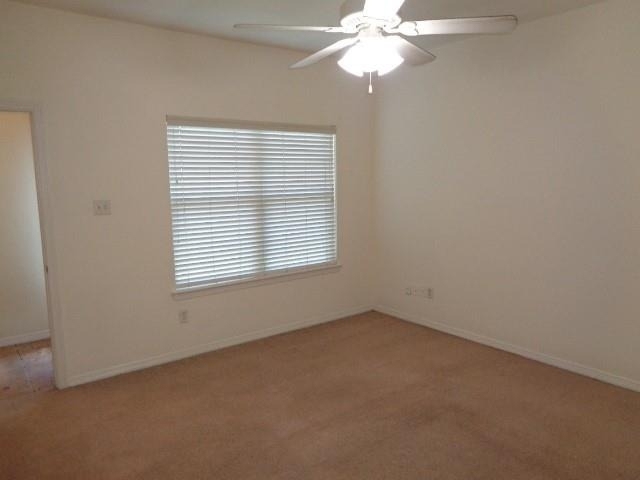 10223 Checkerberry Park Lane - Photo 6