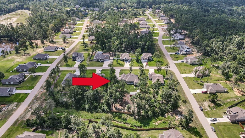 18207 Samie Nell Court - Photo 43