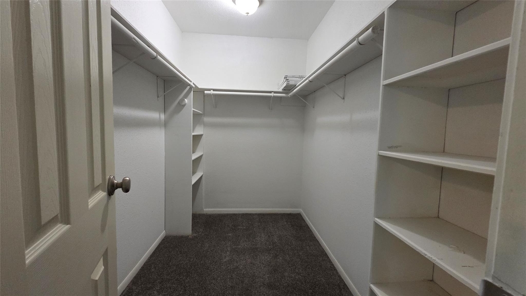 5434 Goldspier Street - Photo 15