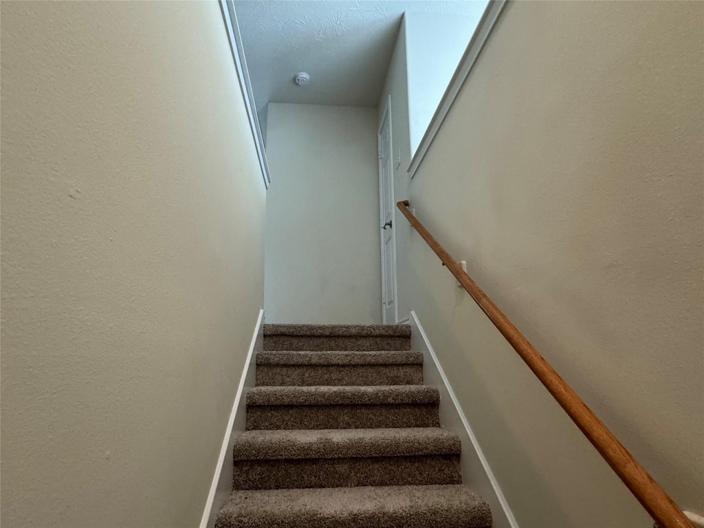 11515 Jacinth Court - Photo 14
