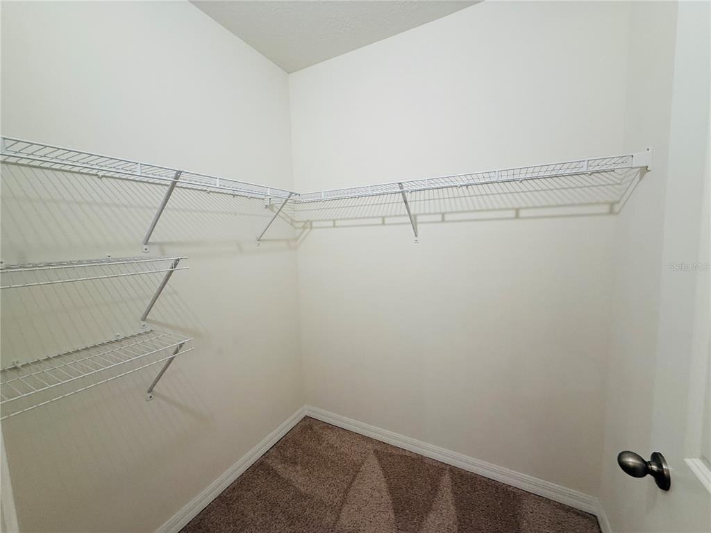 2868 Suncoast Blend Drive - Photo 24