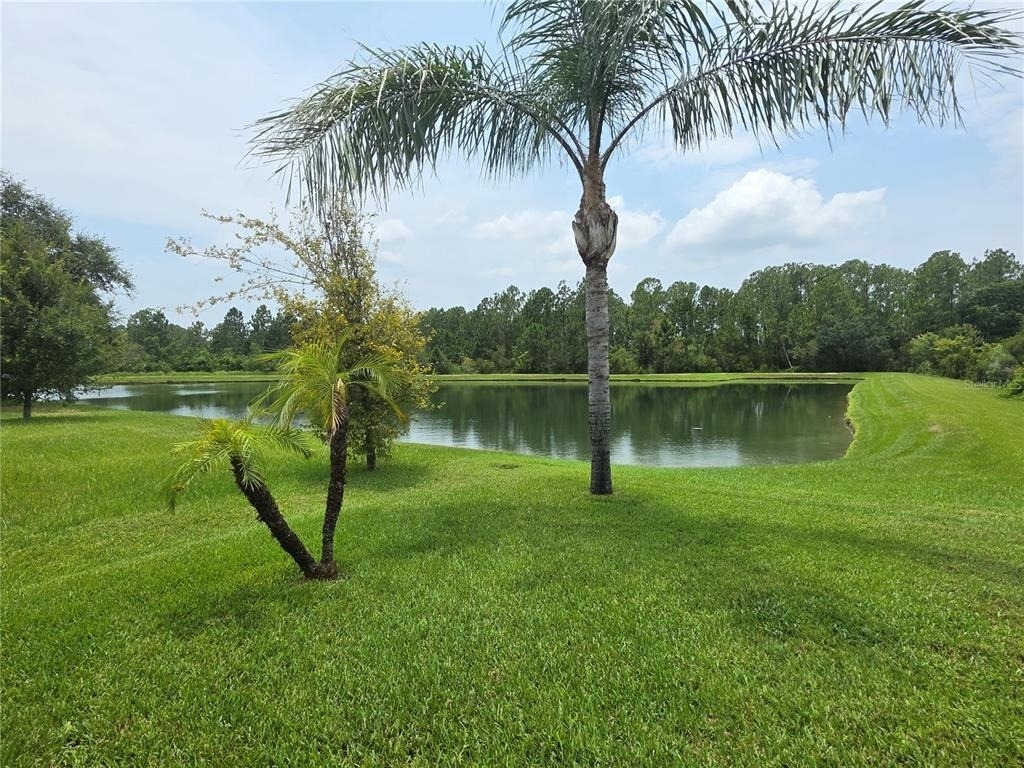 4939 Autumn Ridge Drive - Photo 8