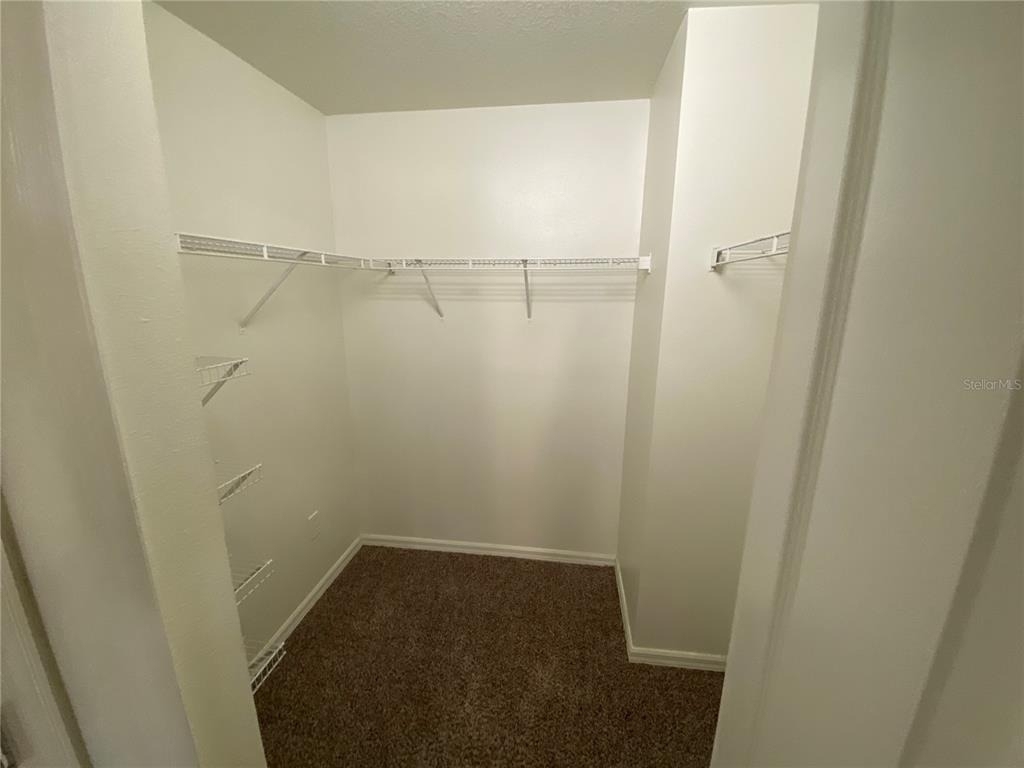 8530 Quarter Horse Drive - Photo 11